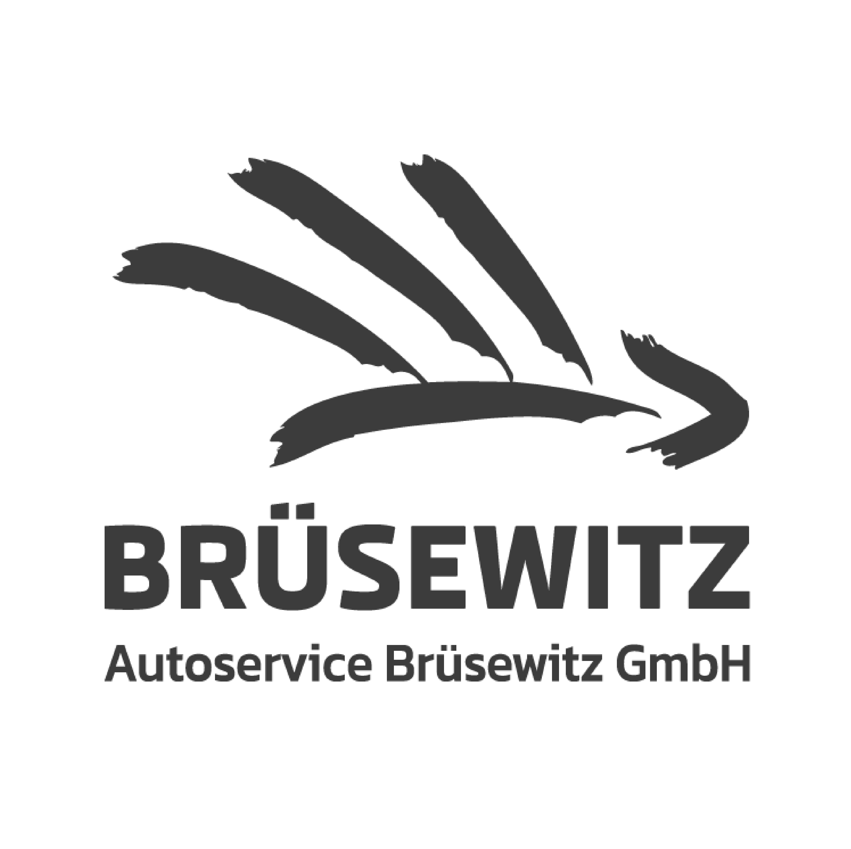 Logo Autoservice Brüsewitz | 53Media