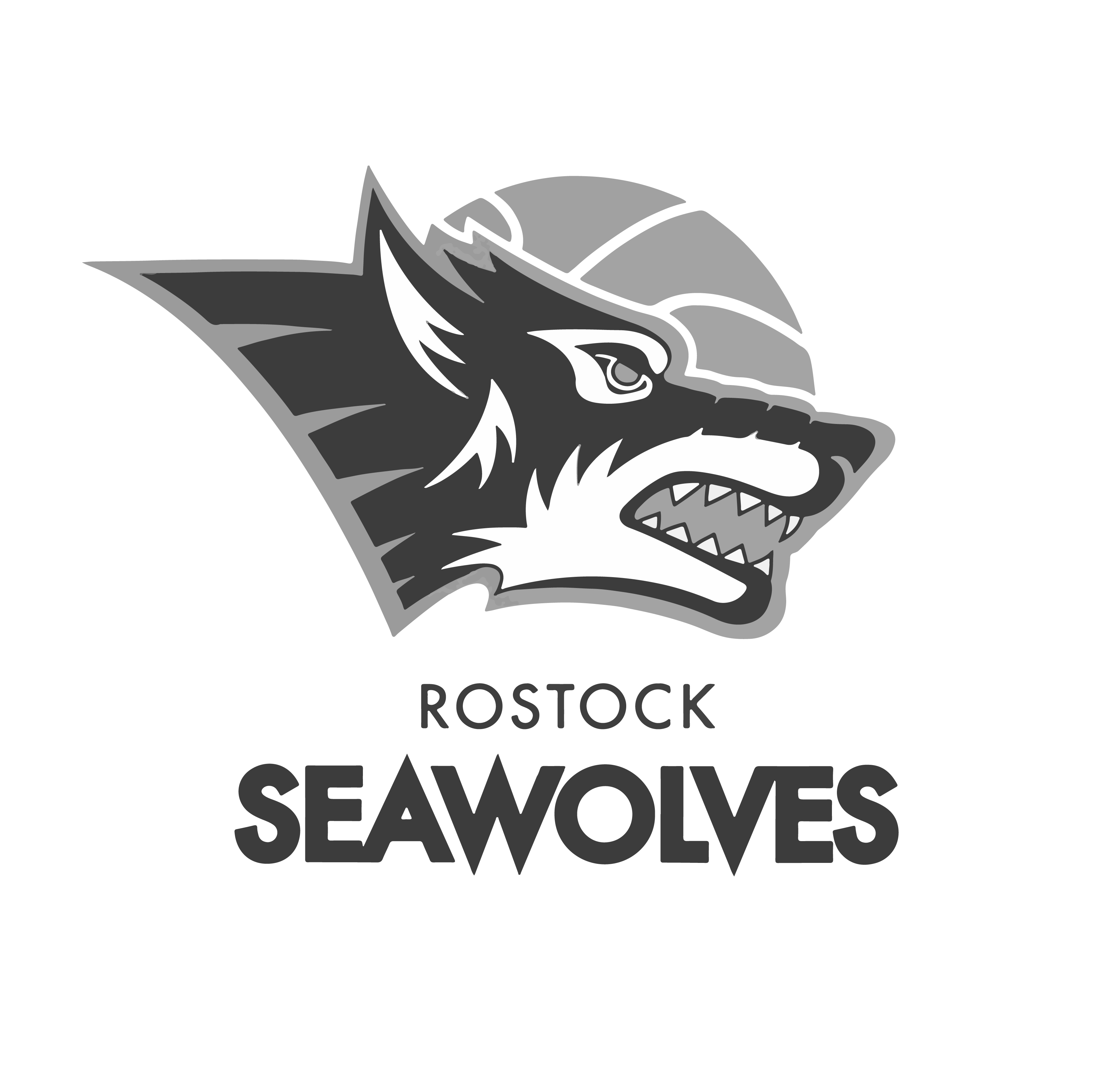 Logo Rostock Seawolves | 53Media