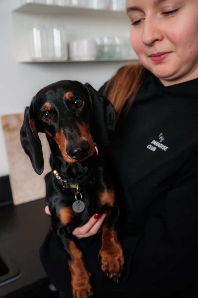 Produktfotografie für Localhoney Schwerin – ausgewählte Merch Artikel mit emotionalem Storytelling.